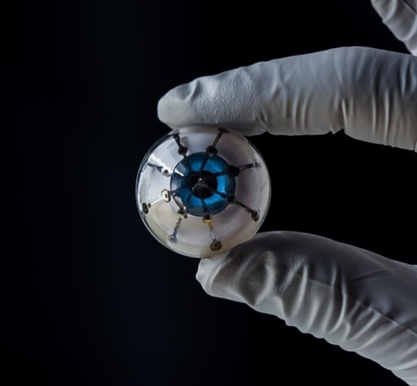 미국 미네소타대가 3D프린터로 만들어낸 인공눈 반구체의 모습(사진=미네소타대)