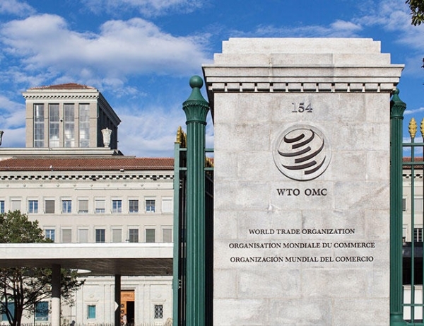 세계무역기구(WTO)가 데이터를 이용하는 비즈니스에 관한 국제 규정 제정을 추진한다.