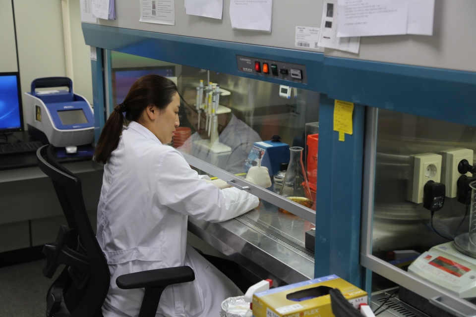 세계김치연구소 연구원이 100도 트루 스팀 기능의 살균 효과를 확인하기 위해 실험을 진행하는 모습.