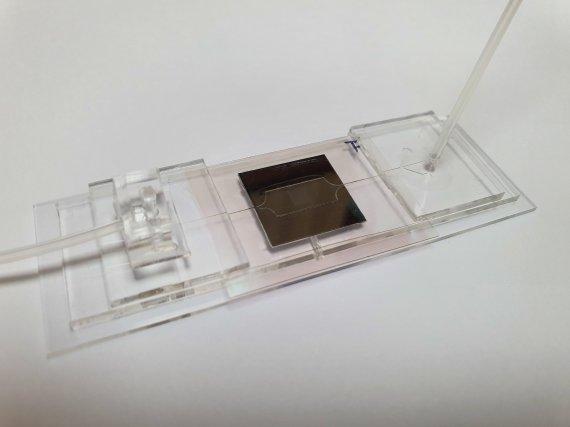 인공세포막 재료가 코팅된 수만개 나열된 홀을 포함하는 실리콘 칩.