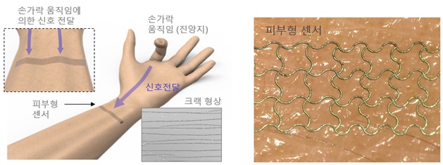 딥러닝된 피부형 센서 구성. 은 나노 입자를 레이저로 소결하여 크랙형상을 만들어 고민감 센서를 제작함. 손가락의 움직임을 마치 지진파 계측과 같이 손목에서 멀리 계측을 하여 딥러닝을 통해 신호에서 손가락 움직임을 추출한다.