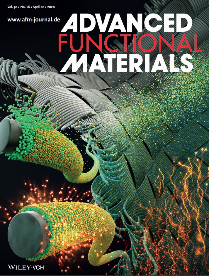 Advanced Functional Materials 논문 표지 : ‘20.04 발행