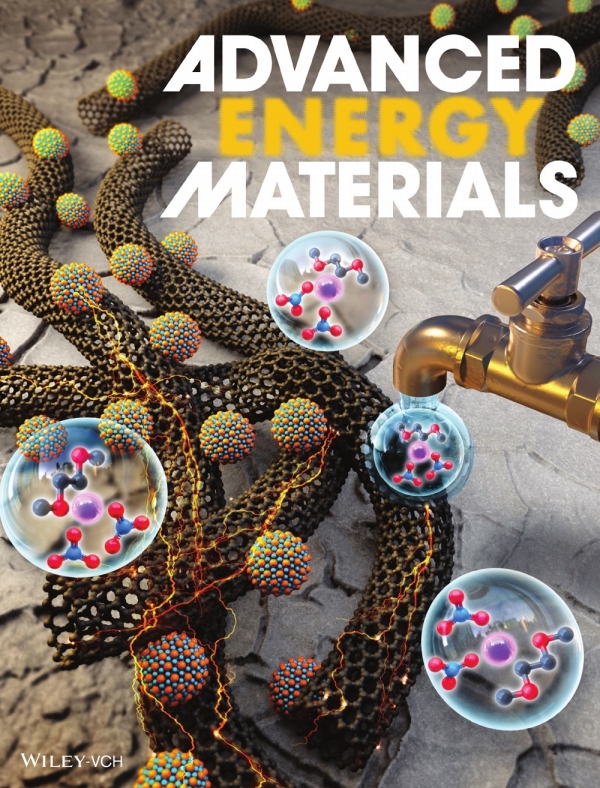 Advanced Energy Materials지 표지