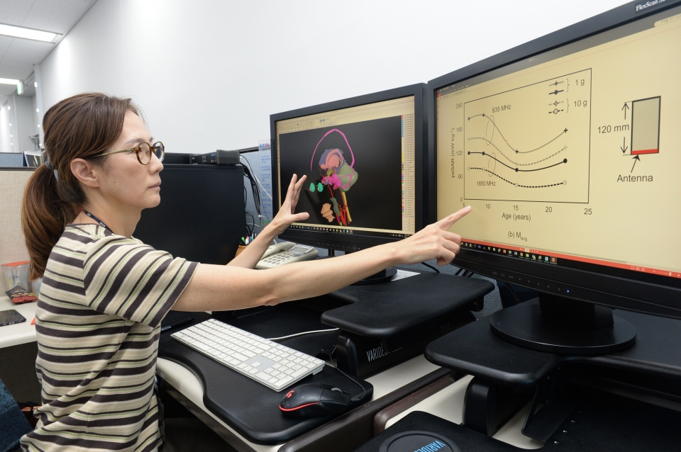 ETRI 연구진이 동국대 의대와 공동으로 개발한 연령별 머리 모델을 기반으로 휴대폰 사용 시 뇌의 전자파흡수율을 연령별로 비교하고 있다.(ETRI 이애경 책임연구원)