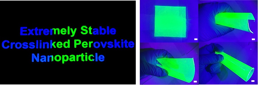 개발된 실록산으로 캡슐화된 페로브스카이트 나노 입자 복합체를 대면적 필름형태로 제작한 모습. 휴대폰 화면 (왼쪽) 및 10 cm x 10 cm의 대면적의 플렉서블 필름으로 제작 (오른쪽)하여도 매우 완벽한 색변환을 보여준다.