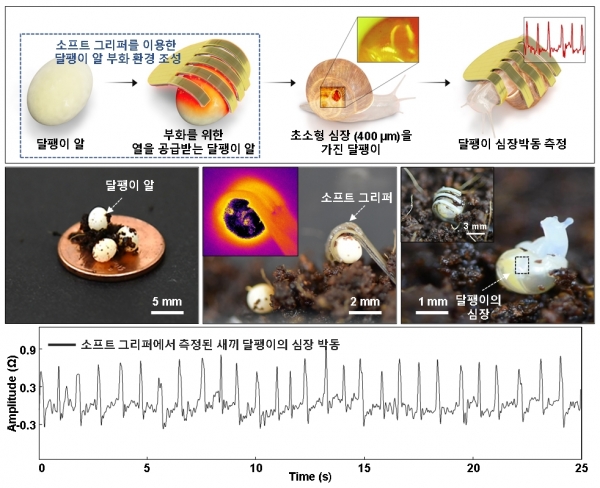 소프트 그리퍼를 이용한 달팽이 부화 촉진 및 생체 신호 측정 과정